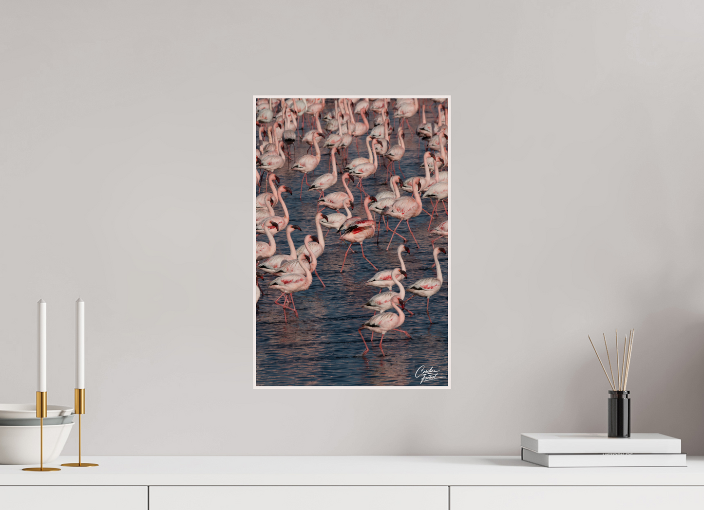Blush of the Wetlands (Caroline Fourest)