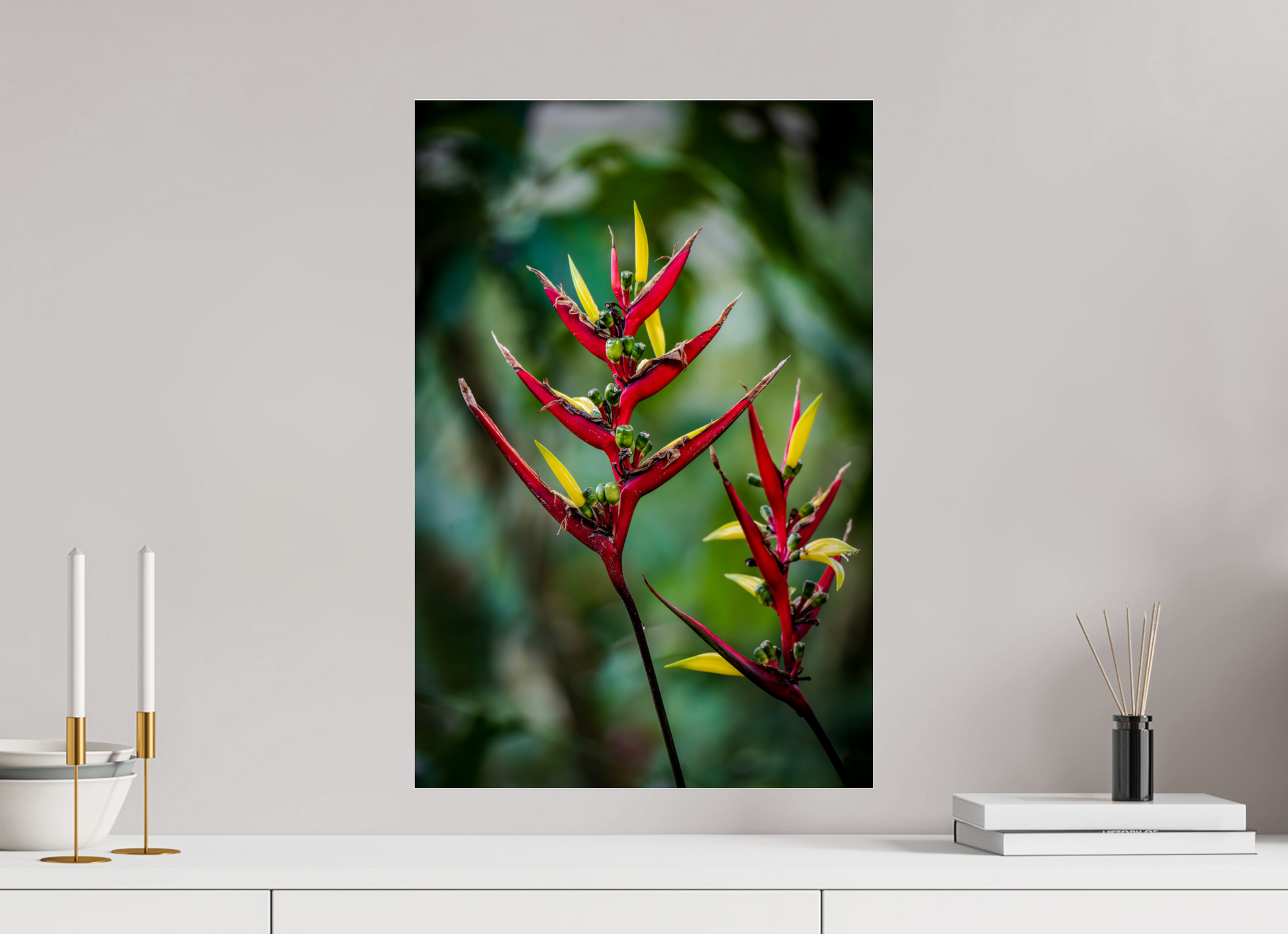 40 x 60 cm, Photo Print Under Acrylic Glass Fiammetta Perou