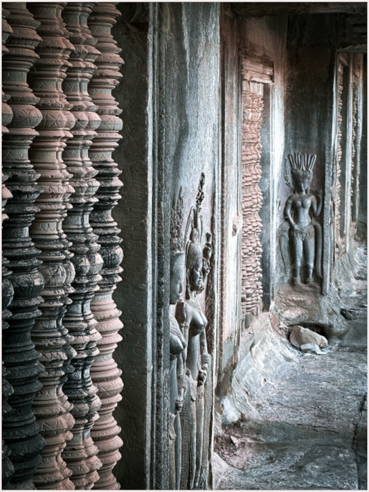 Corridor of Shadows (Fiammetta Venner)