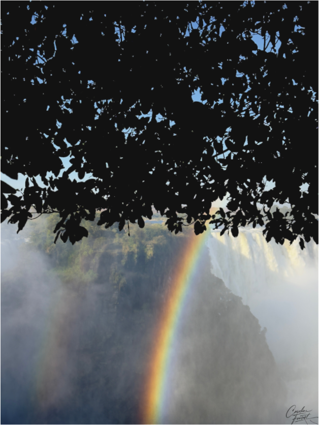 Main image Rainbow’s End (Caroline Fourest)