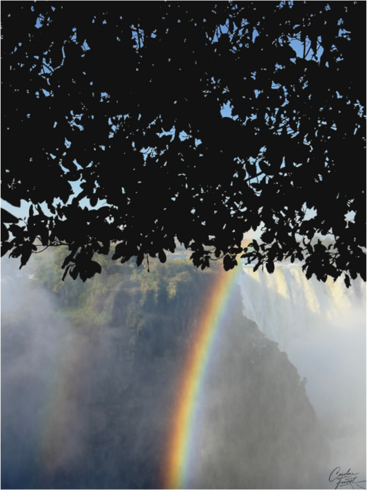 Main image Rainbow’s End (Caroline Fourest)
