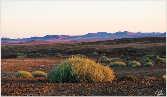 Main image (Caroline Fourest)