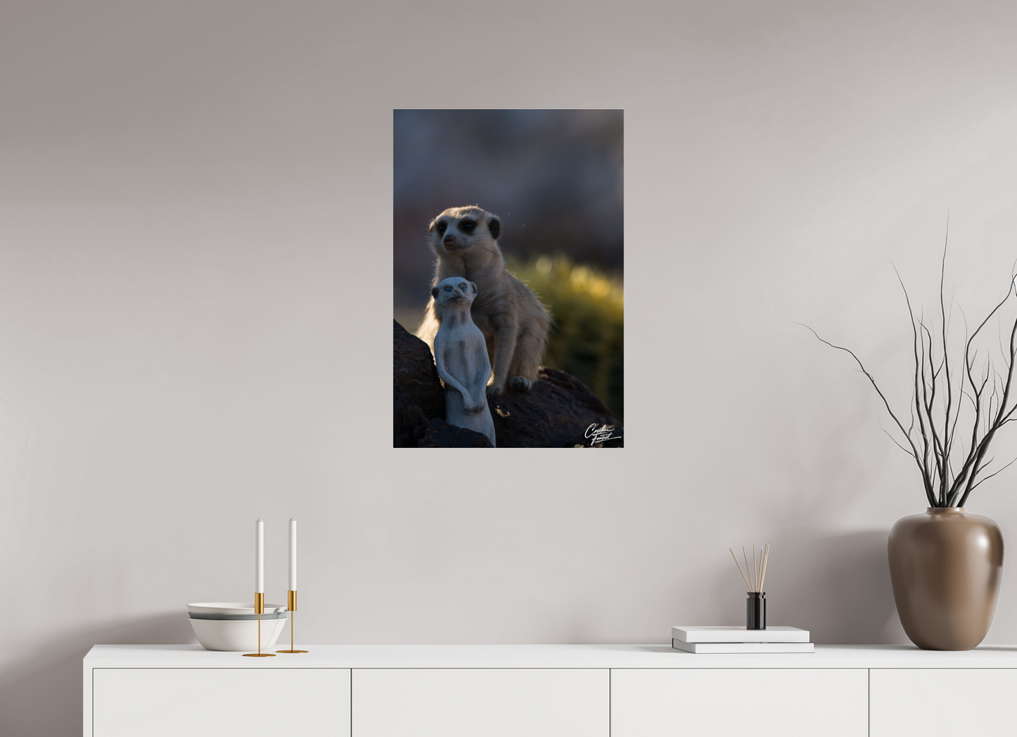 Meerkat Puppet (Caroline Fourest)