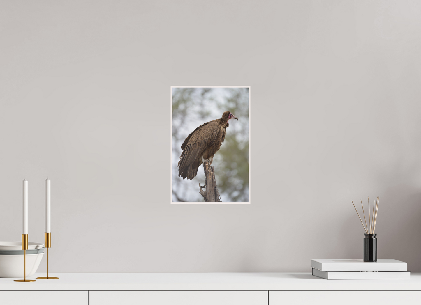 Sentinel of the Savanna (Fiammetta Venner)