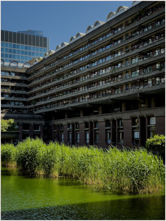 Reflective Waters (Fiammetta Venner)