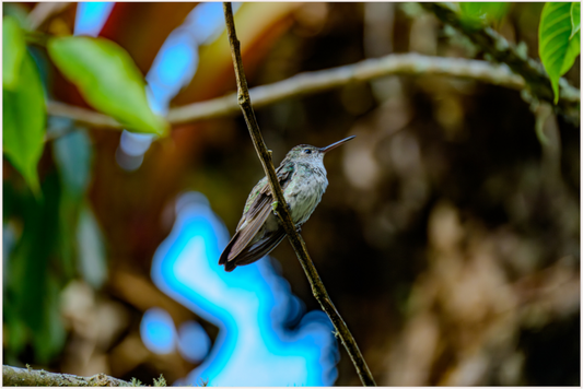 Main image Peru (2024) Photography : © Fiammetta Venner / REIA (Fiammetta Venner)