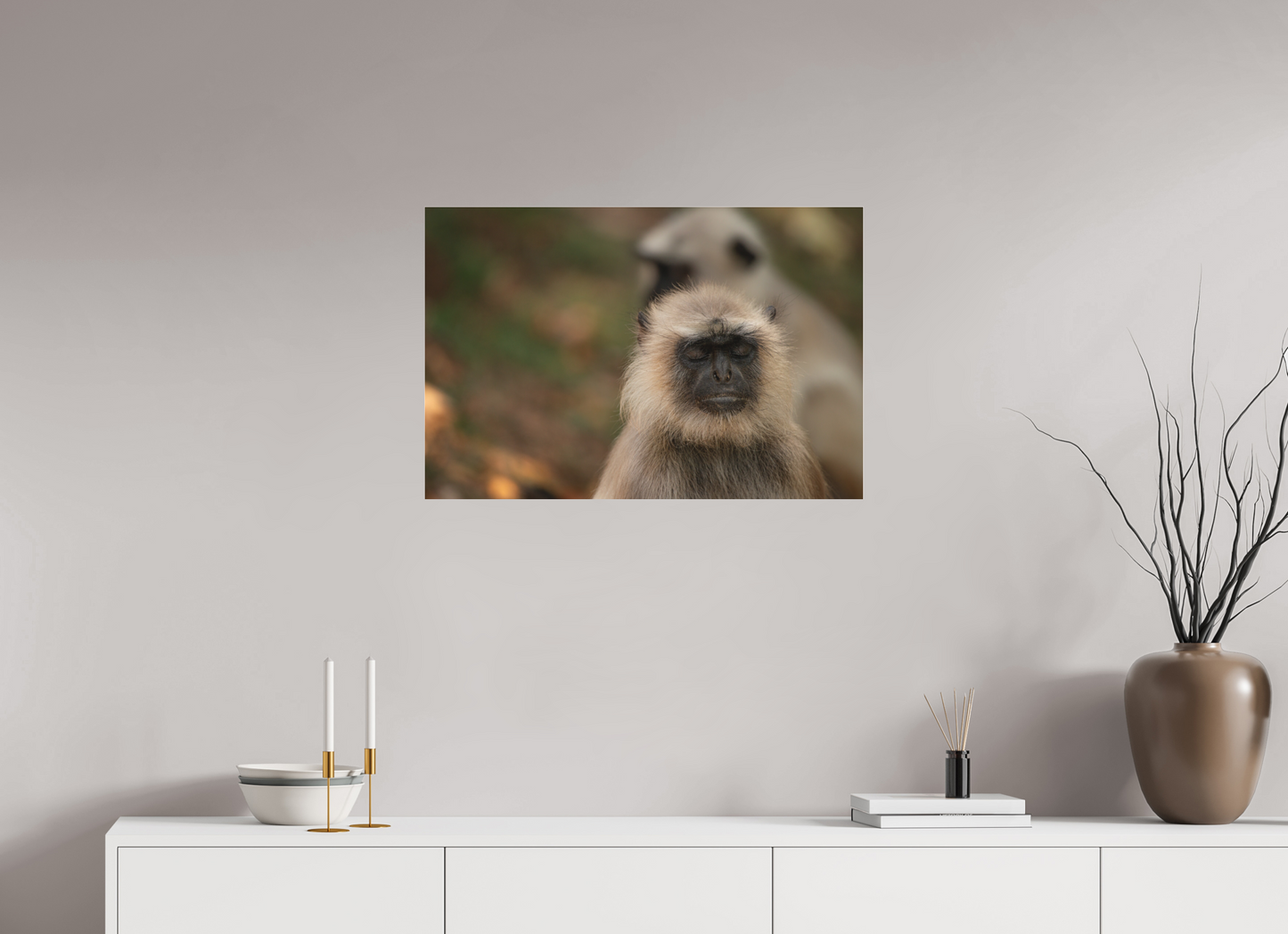 Dharma Langur (Fiammetta Venner)