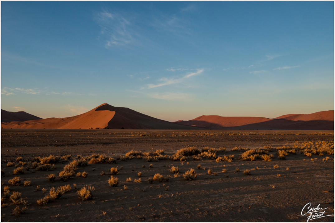 Main image (Caroline Fourest)