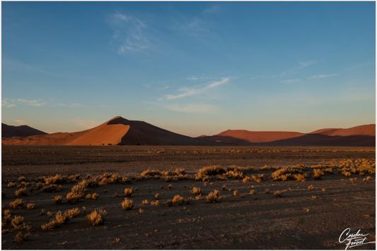 Main image (Caroline Fourest)