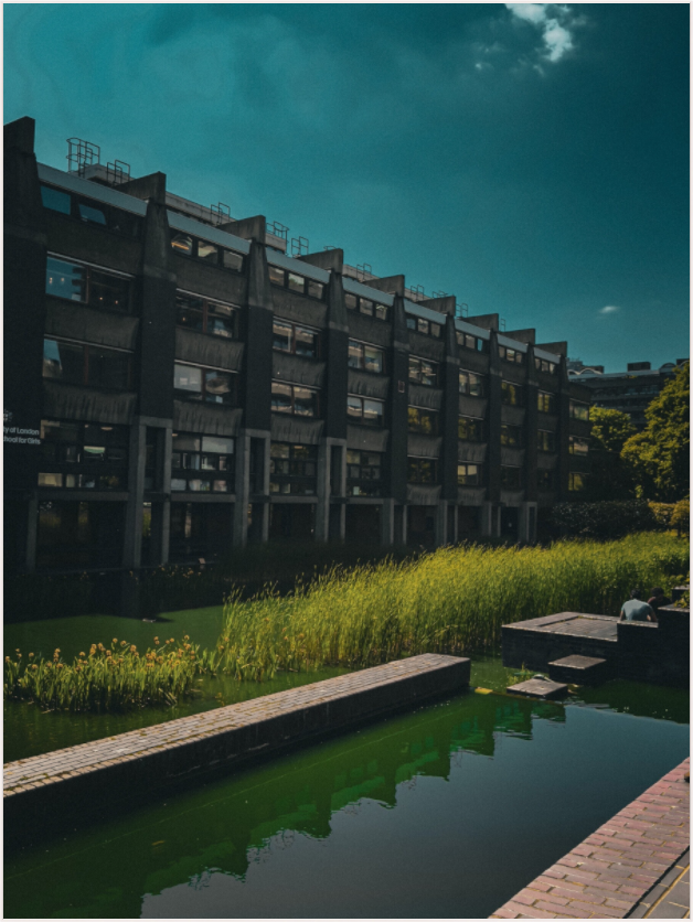 Reflections of Brutalism (Fiammetta Venner)