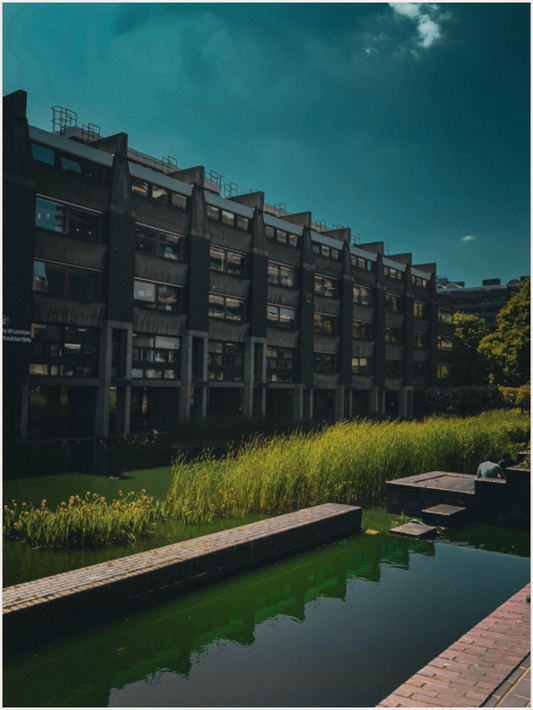 Reflections of Brutalism (Fiammetta Venner)