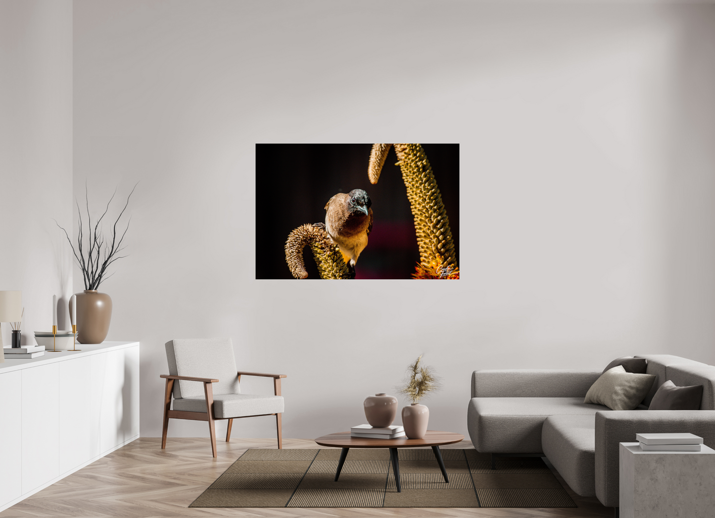 Perched Curiosity (Caroline Fourest)