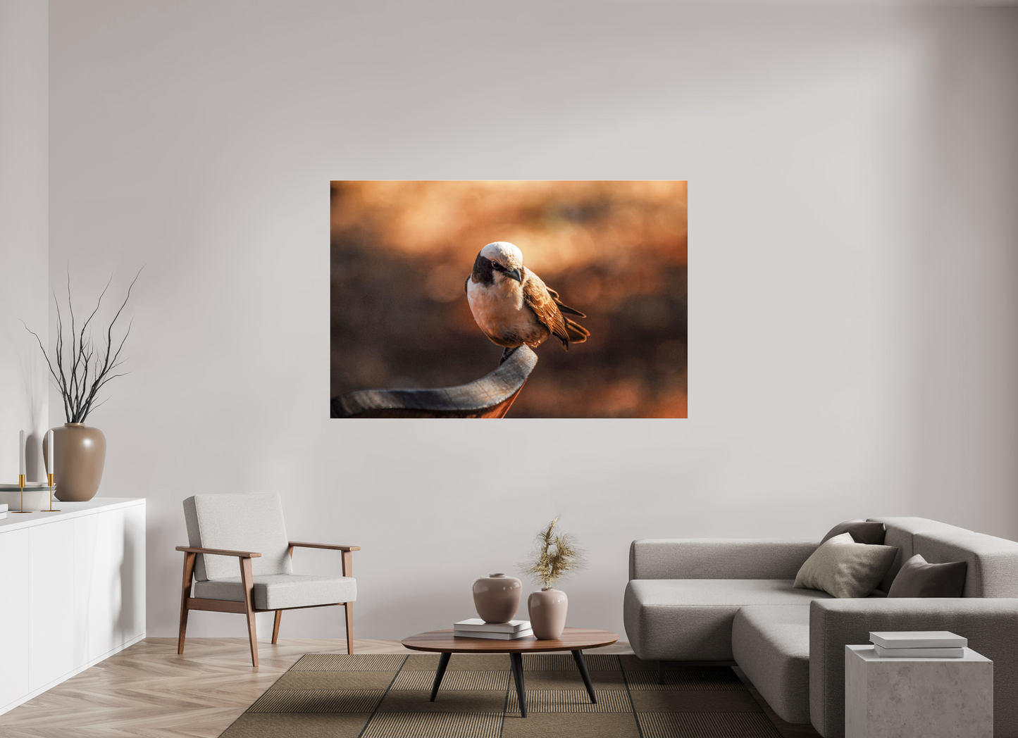Perched in Serenity (Caroline Fourest)