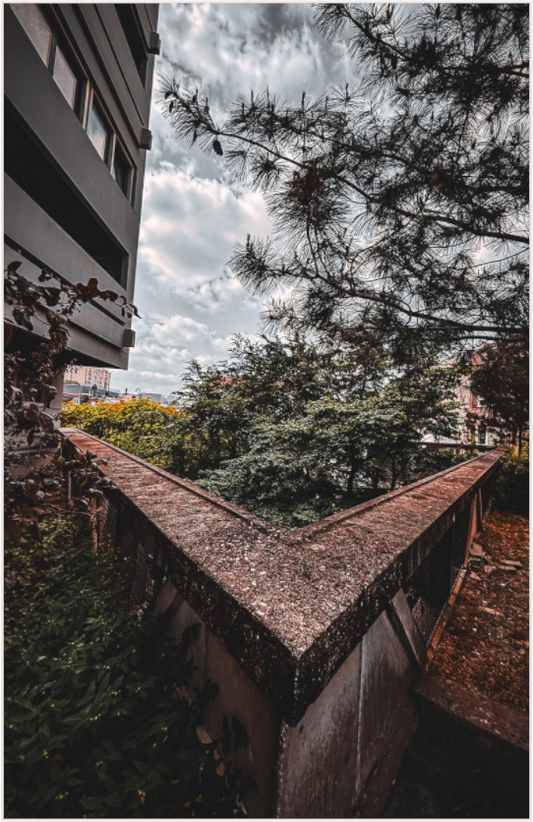 Concrete Canopy (Fiammetta Venner)