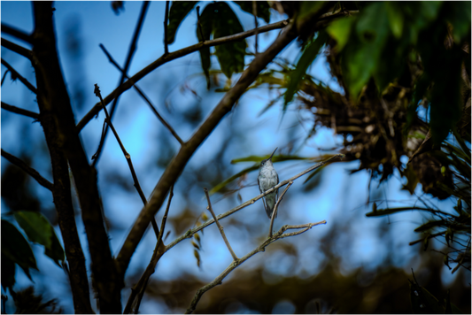 Main image Peru (2024) Photography : © Fiammetta Venner / REIA (Fiammetta Venner)