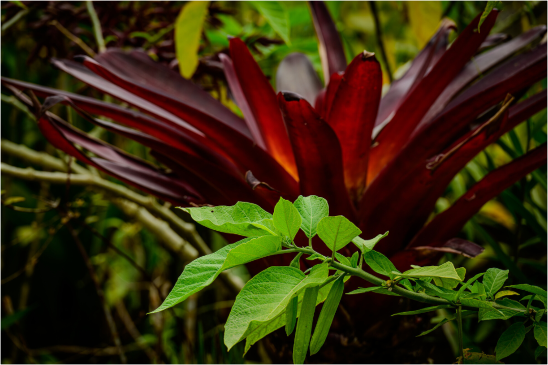 Main image Fiammetta Perou