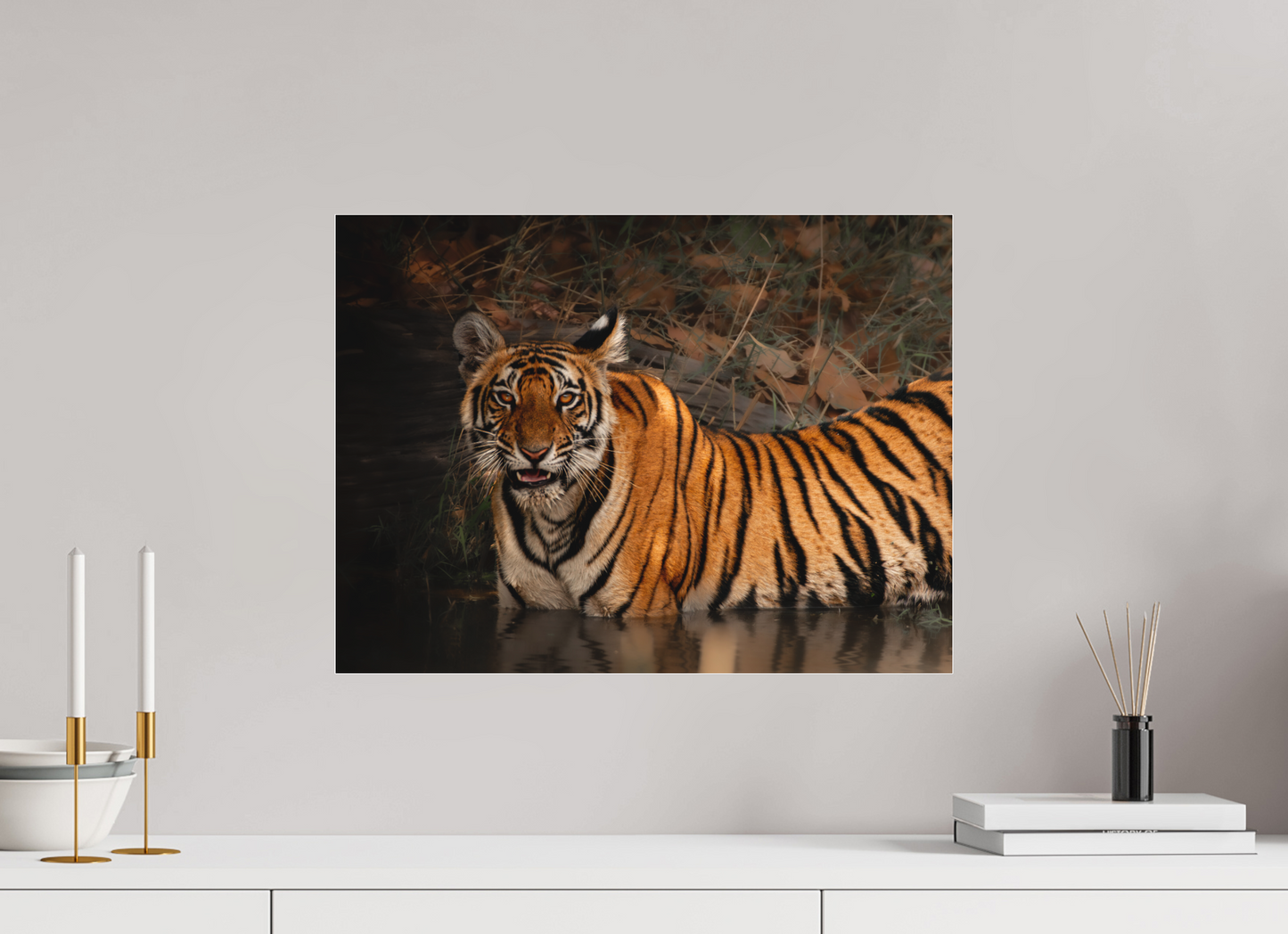Bengal tiger moment (Fiammetta Venner)
