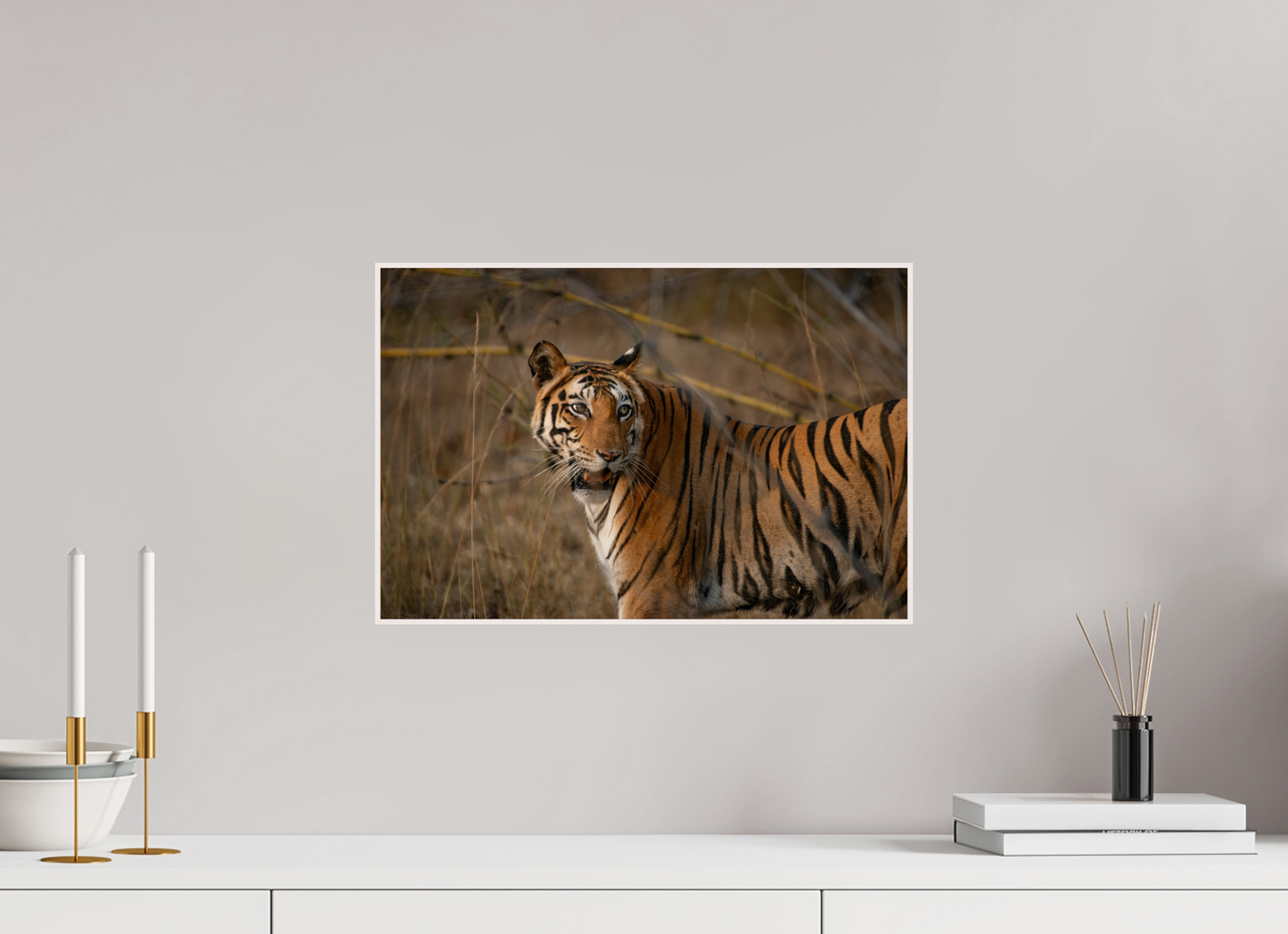 Suspicious Tiger (Fiammetta Venner)