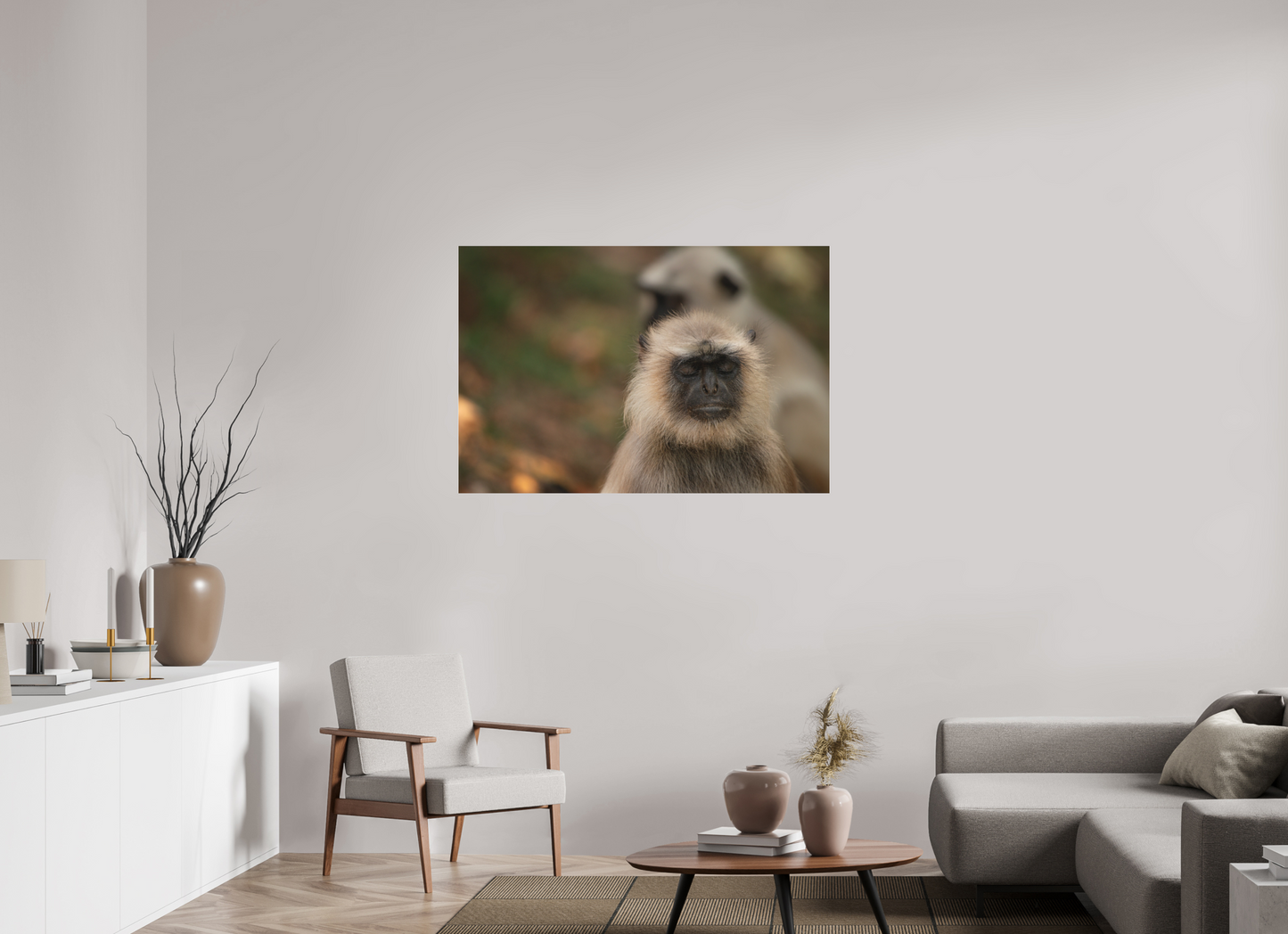 Dharma Langur (Fiammetta Venner)