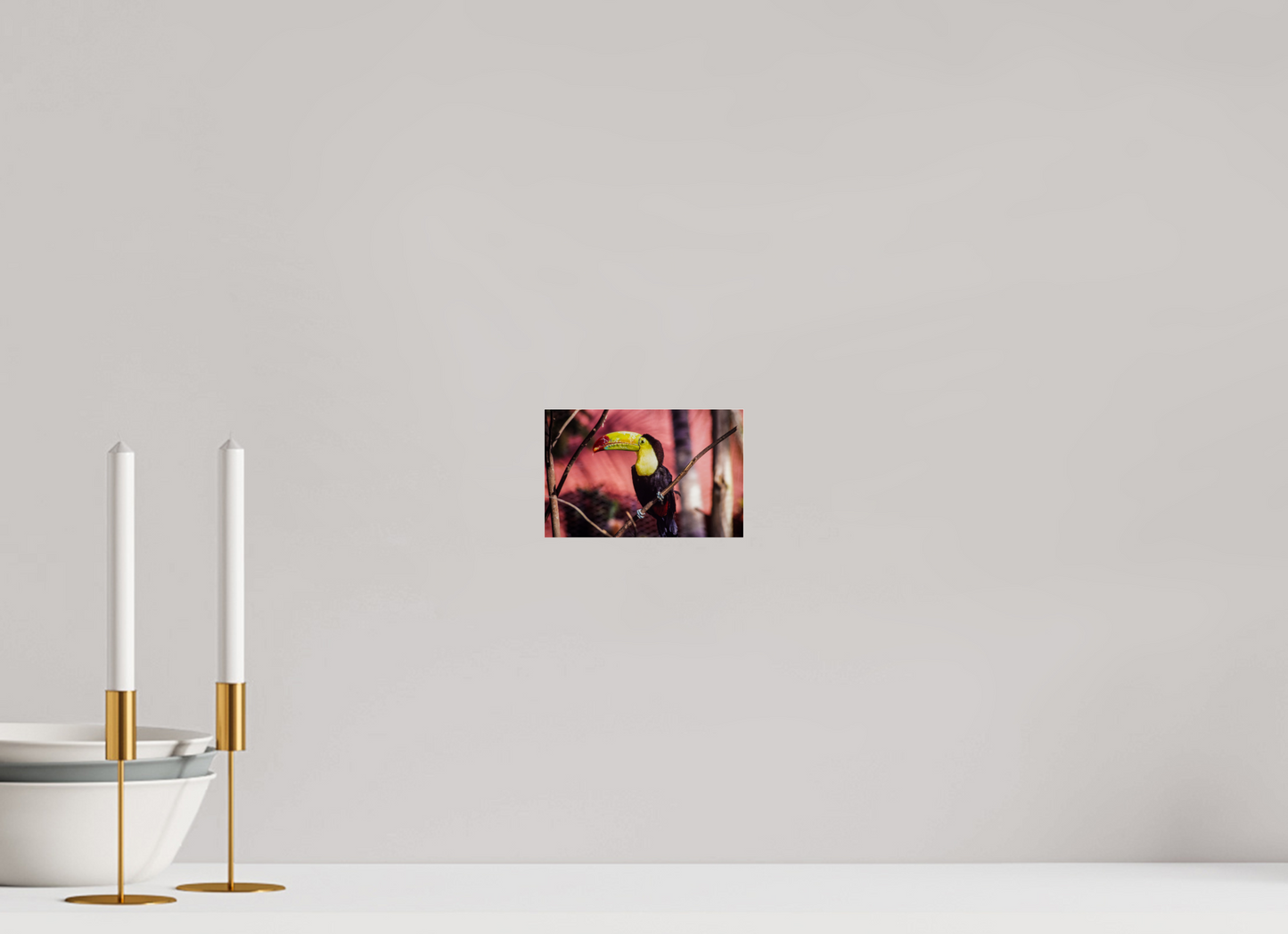The Toucan Vibrant Symphony (Aline de Nanxe)