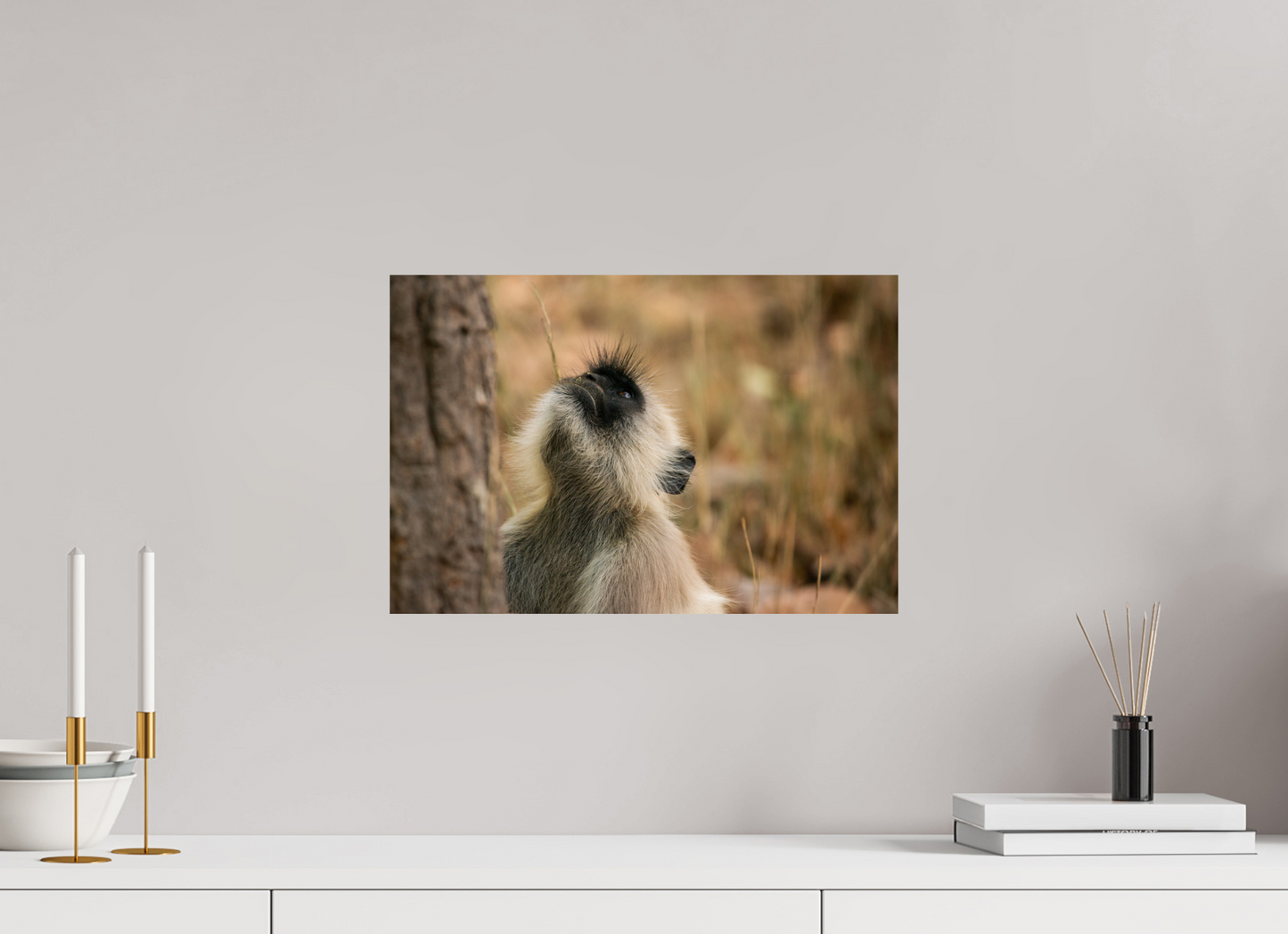 Gaze of Curiosity (Fiammetta Venner)