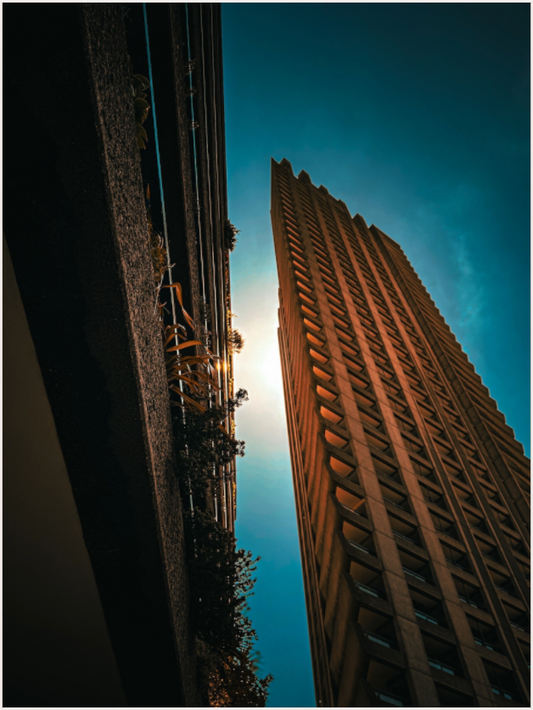 Sunlit Towers (Fiammetta Venner)