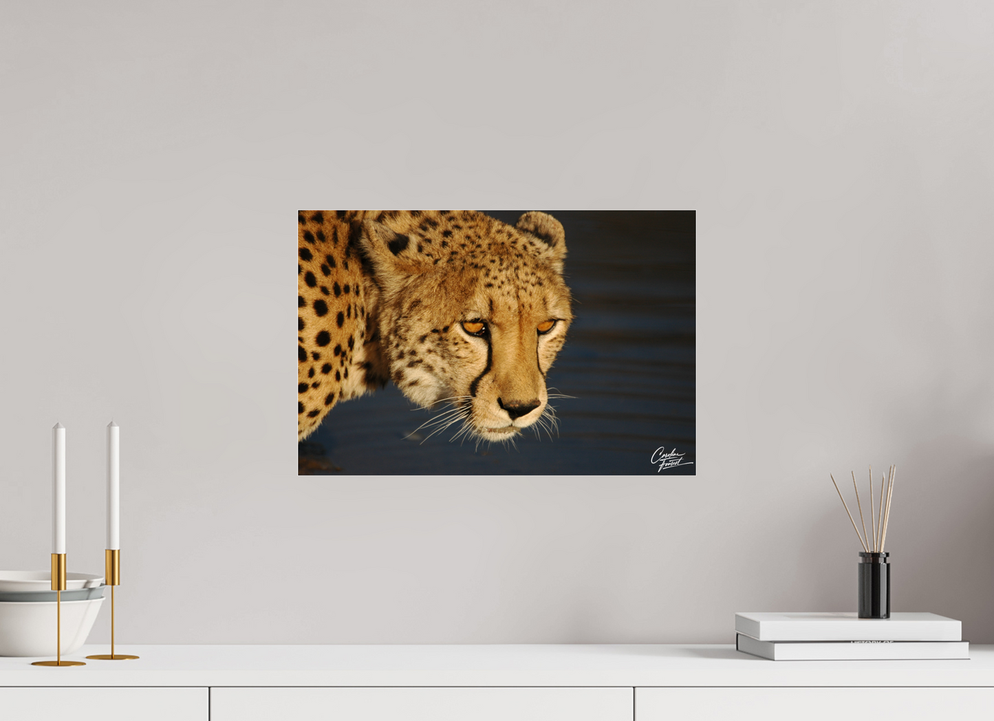 Golden Gaze of the Wild (Caroline Fourest)