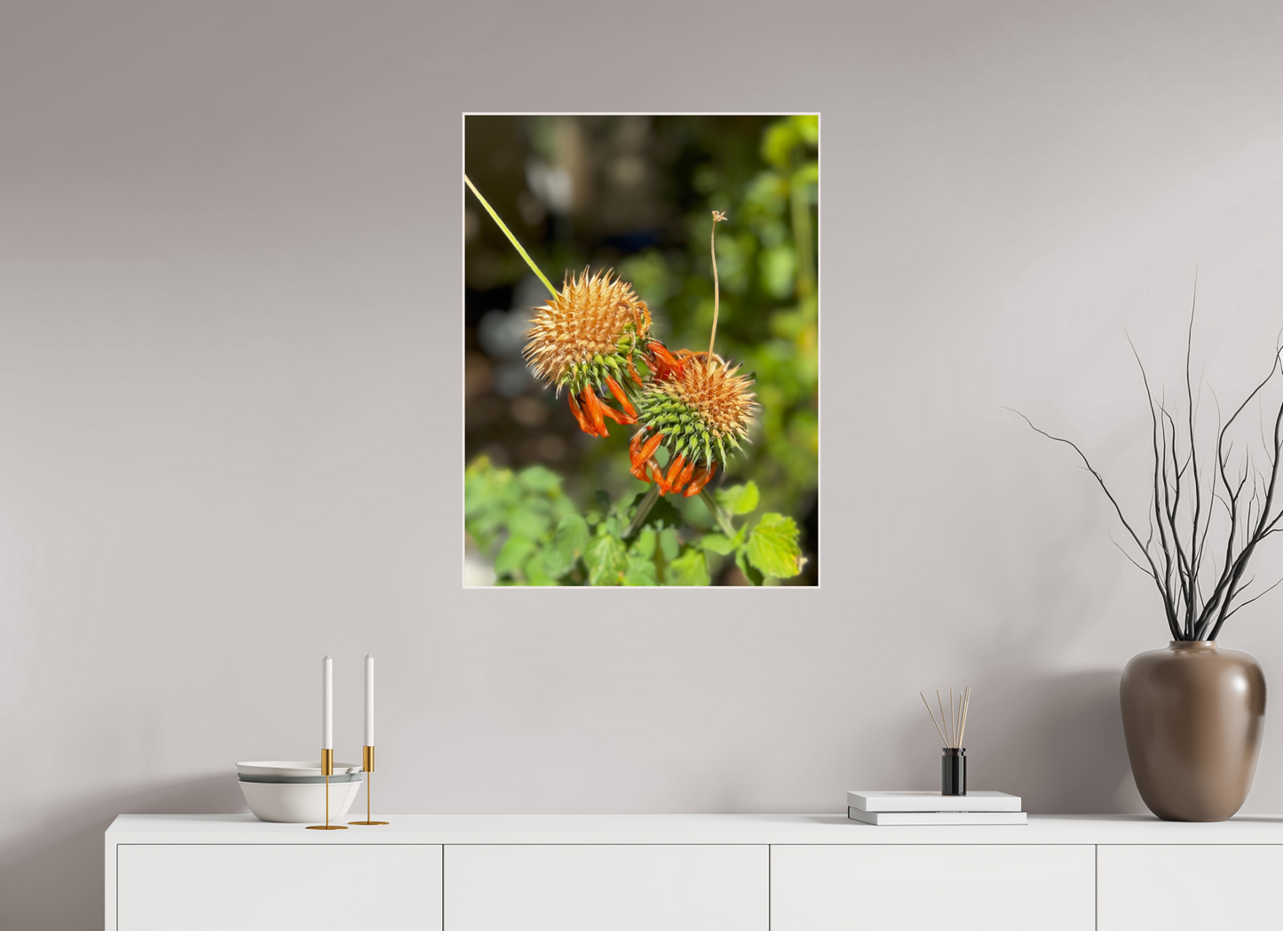 Vibrant Blooms (Fiammetta Venner)
