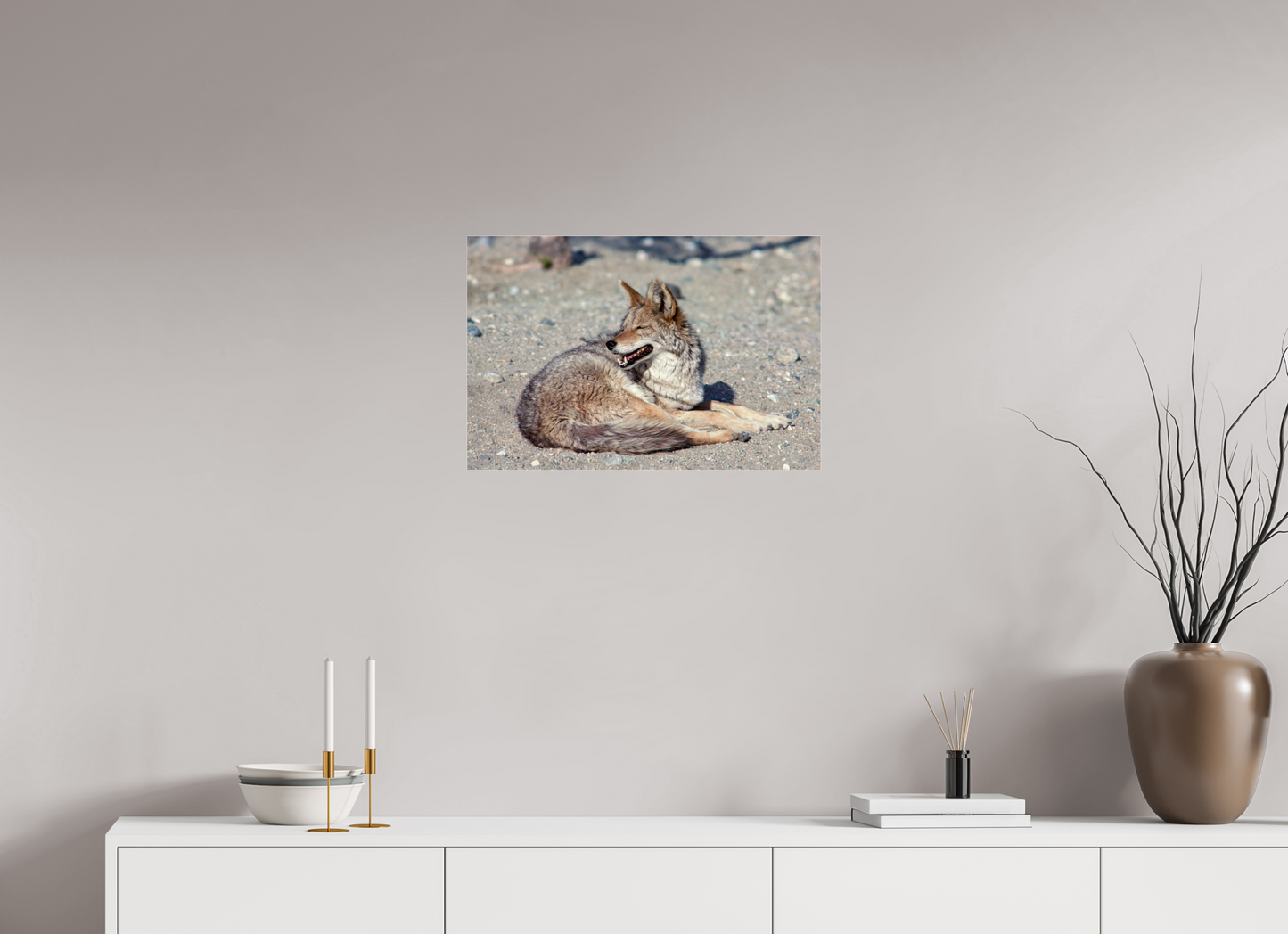 Resting Coyote (Aline de Nanxe)