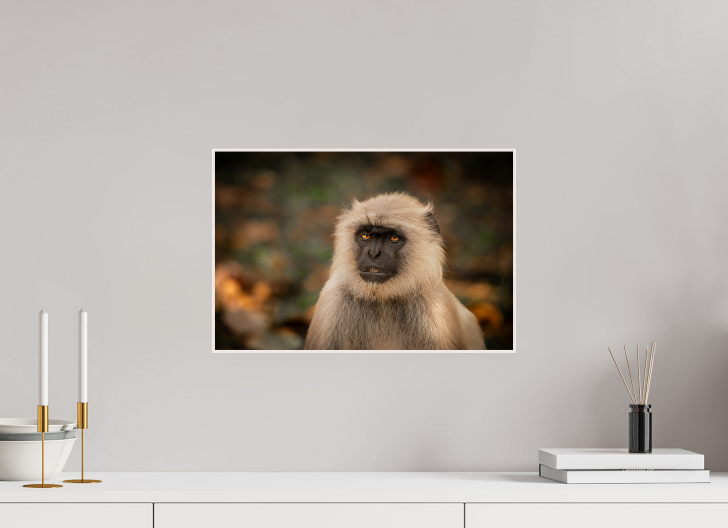Langur Whispers (Fiammetta Venner)