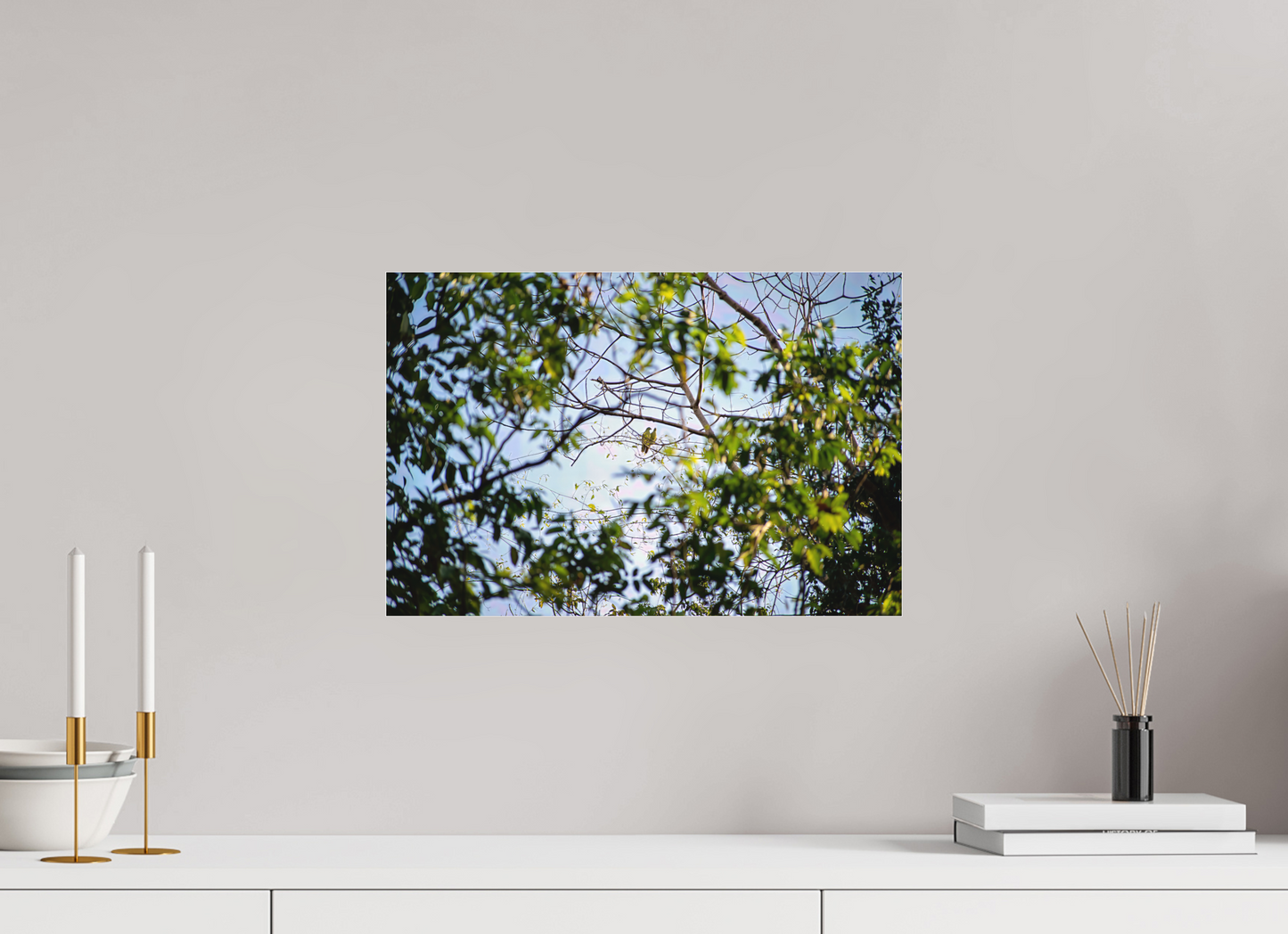 45 x 30 cm, Tirage photo sous Plexi mat camp