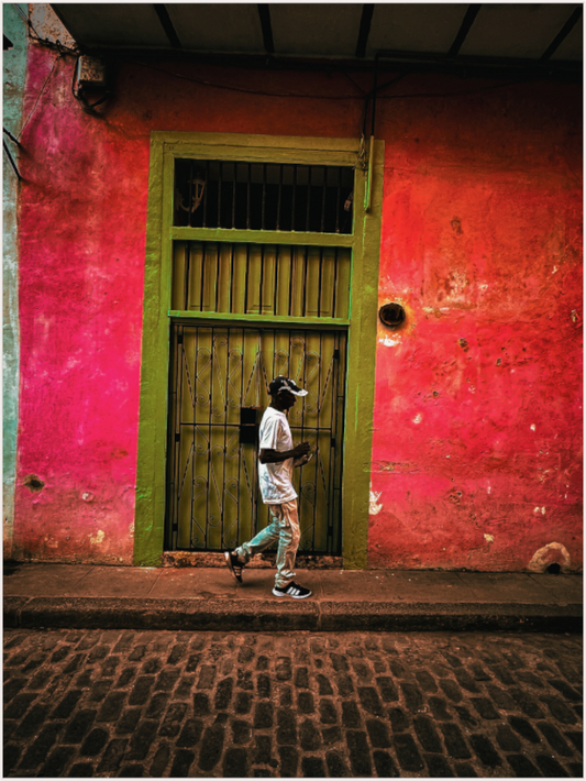 Doorway to the Past (Fiammetta Venner)