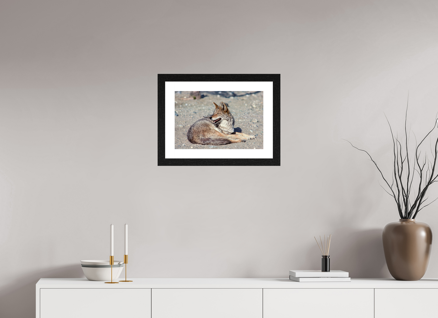 Resting Coyote (Aline de Nanxe)