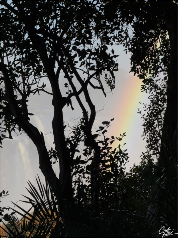 Main image Mist Veil Rainbow (Caroline Fourest)