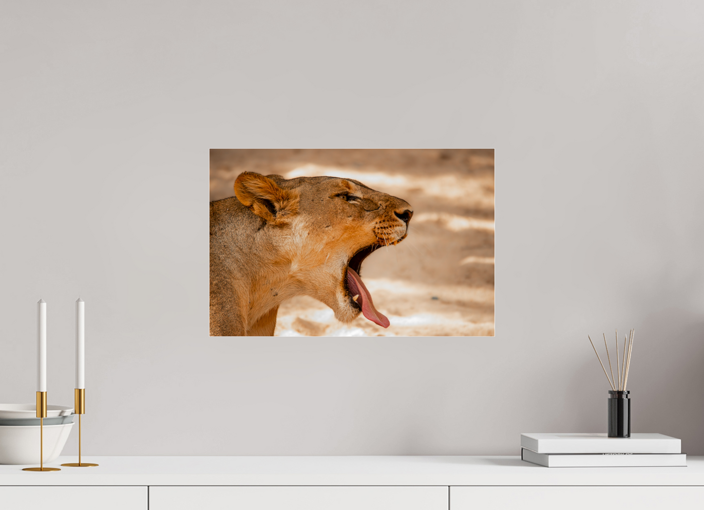 Lioness Yawn (Fiammetta Venner)