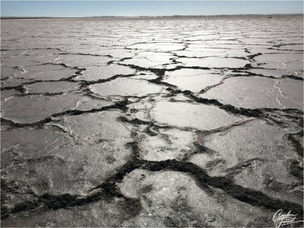 Main image Earth’s Silent Cry (Caroline Fourest)