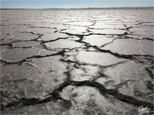 Main image Earth’s Silent Cry (Caroline Fourest)