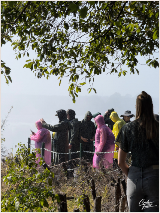 Main image Witnessing Majesty