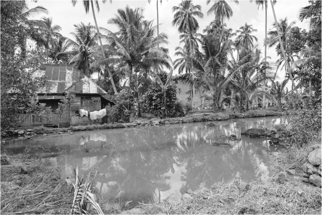 Main image Indonesia (1978) Photography : © Catherine Deudon / REIA (Catherine Deudon )