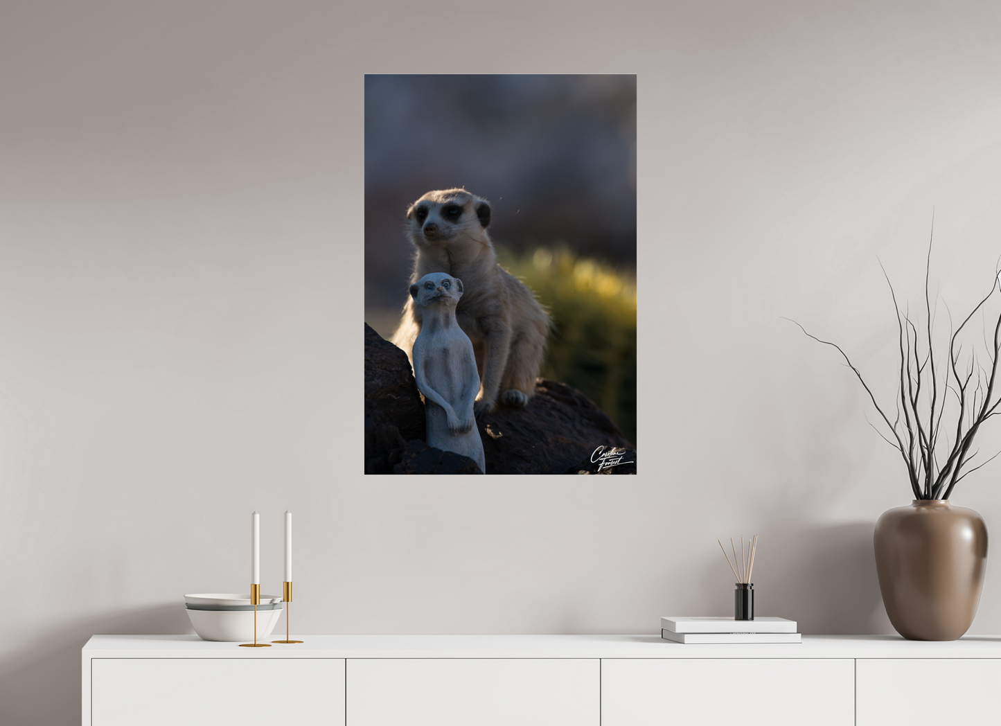 Meerkat Puppet (Caroline Fourest)