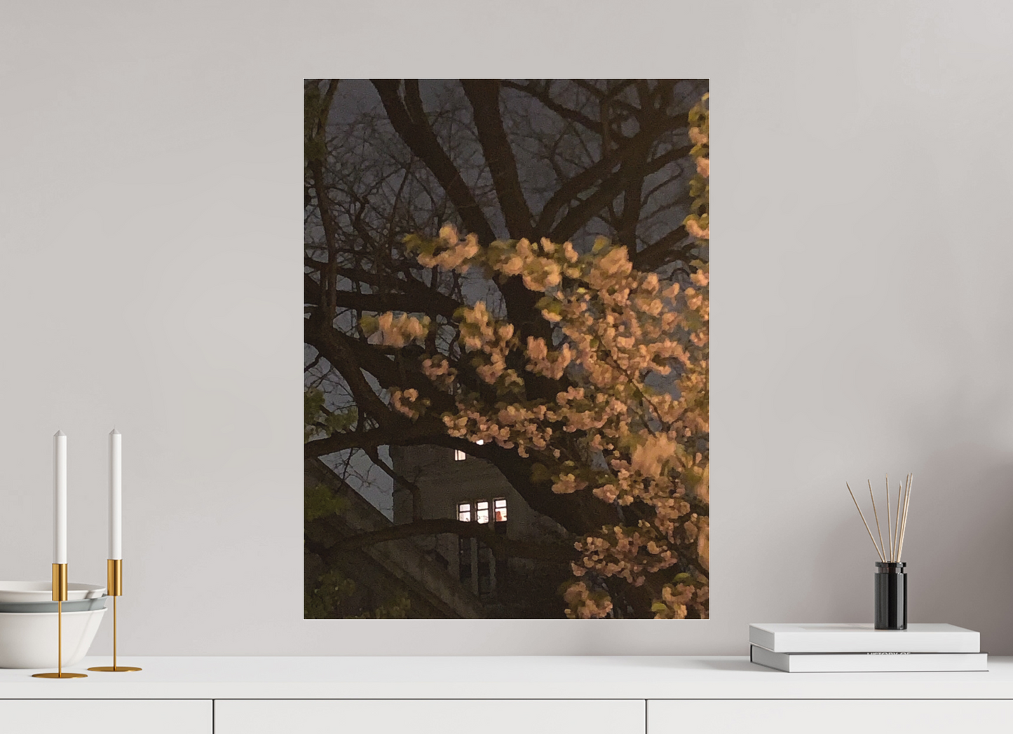 45 x 60 cm, Tirage photo sous Plexi mat Jardin la nuit (Marie Sicard)