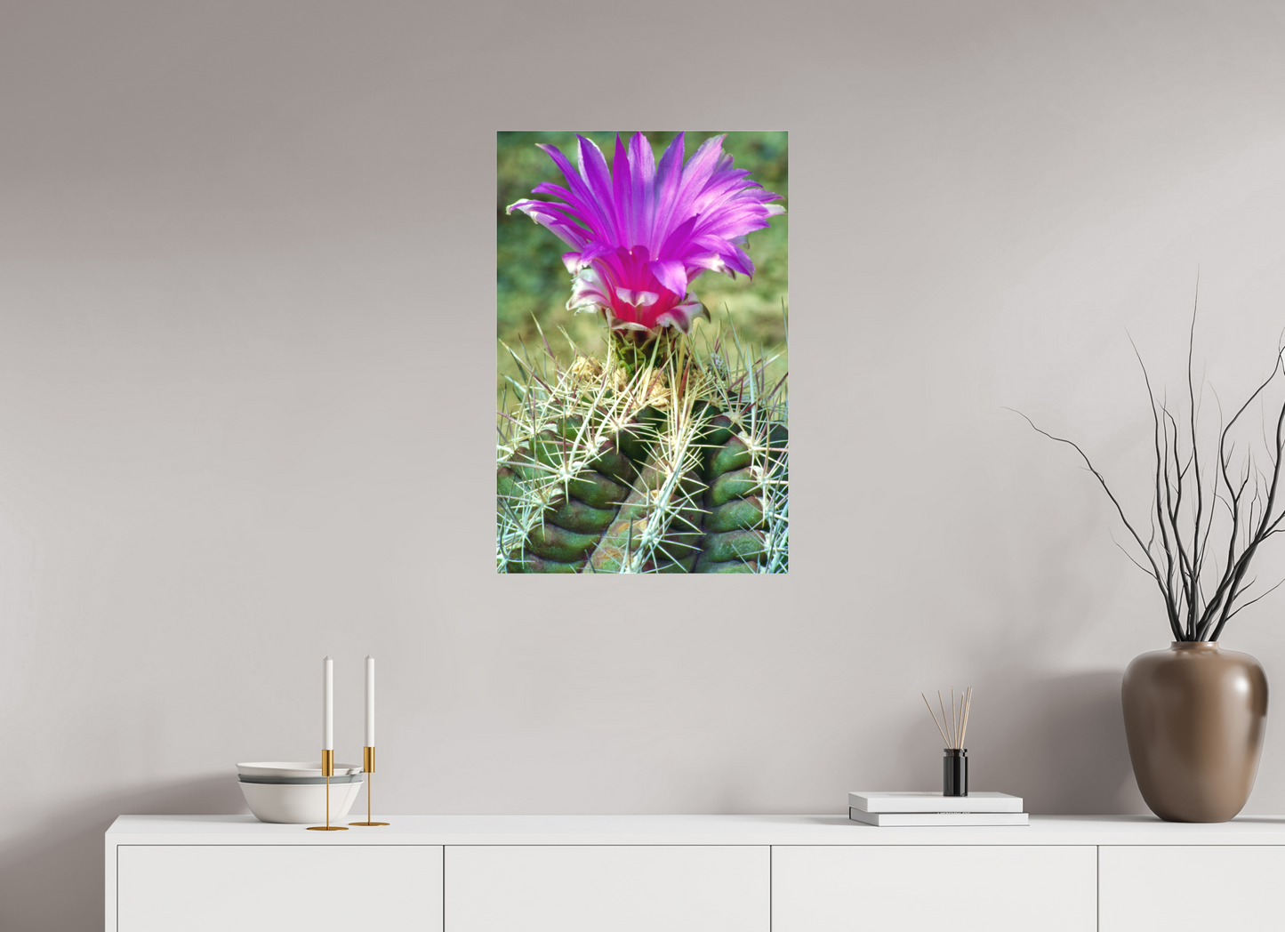 Flamingo Cactus (Aline de Nanxe)