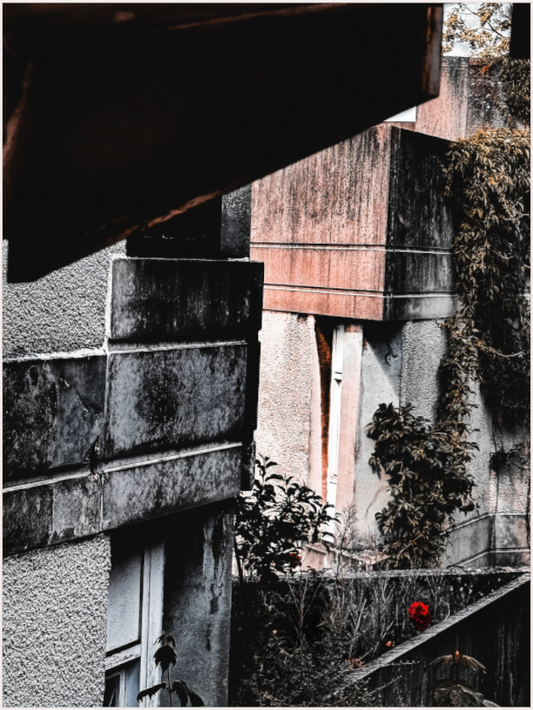 Architectural Contrast (Fiammetta Venner)