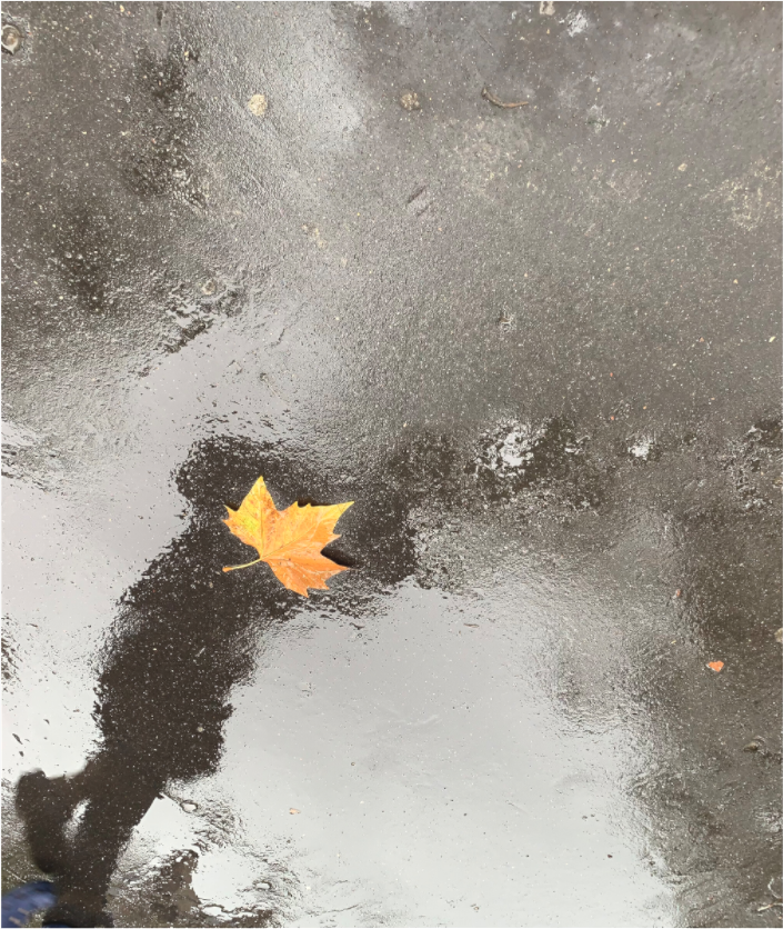 Main image "La pluie fait des miroirs dans la boue" #2 (Marie Sicard)