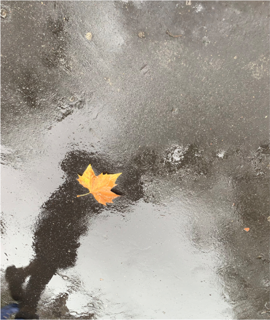 Main image "La pluie fait des miroirs dans la boue" #2 (Marie Sicard)