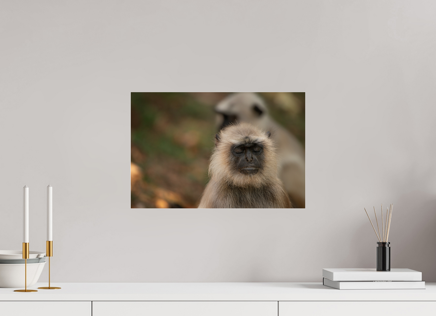 Dharma Langur (Fiammetta Venner)