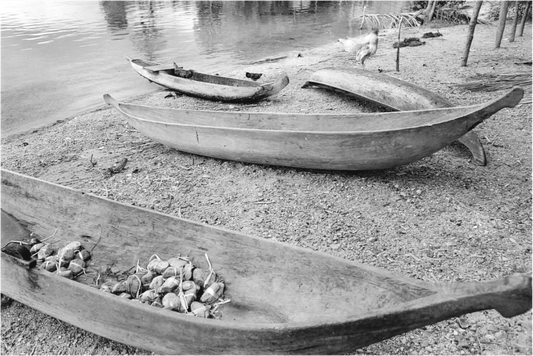 Main image Indonesia (1978) Photography : © Catherine Deudon / REIA (Catherine Deudon )