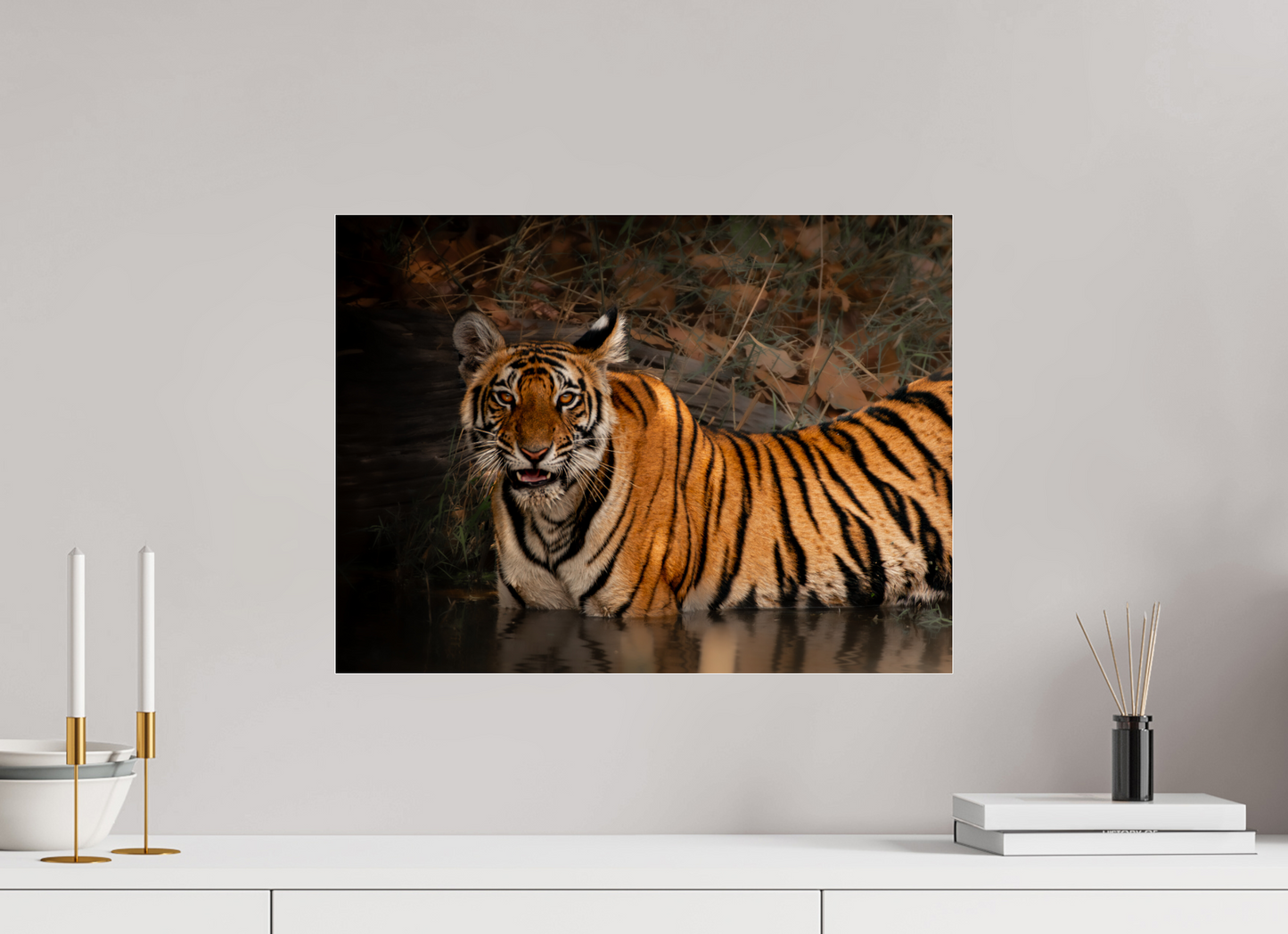 Bengal tiger moment (Fiammetta Venner)
