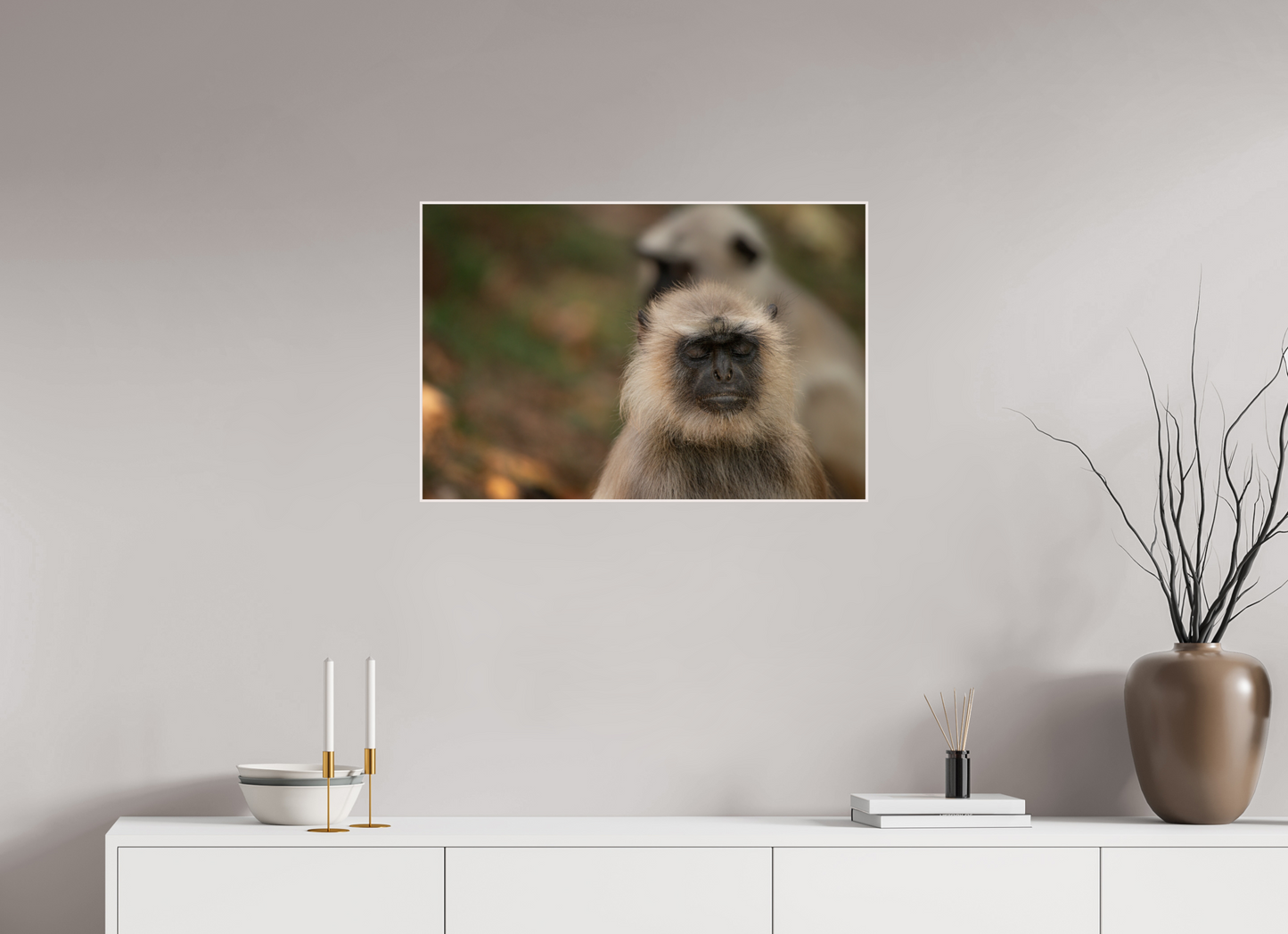 Dharma Langur (Fiammetta Venner)