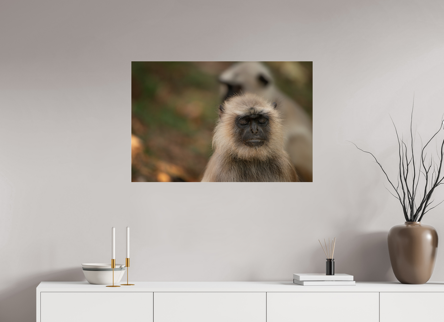 Dharma Langur (Fiammetta Venner)